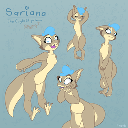 Sariana Ref 2024